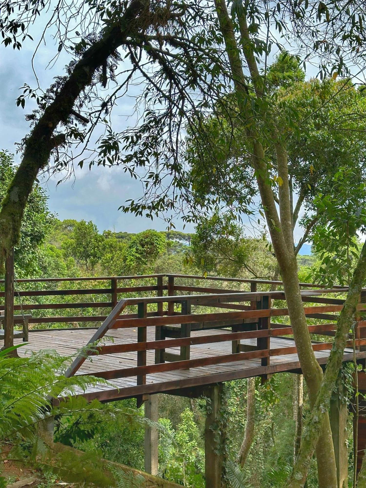 Chale Coruja Listrada - Ninho Das Aves Campos do Jordão Exterior foto